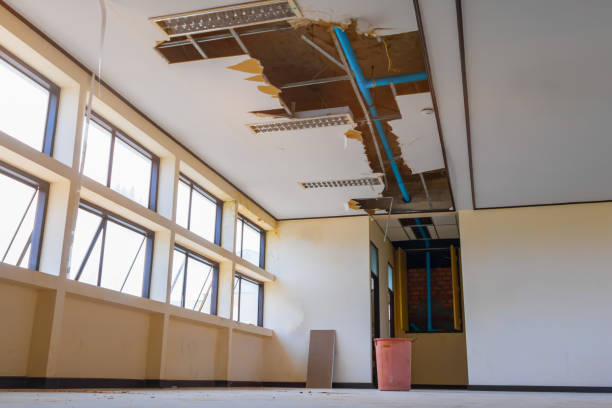 Best Sewage cleanup and water damage restoration  in Cloverleaf, TX