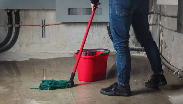 Best Water damage restoration near me  in Cloverleaf, TX