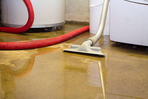 Best Local water damage restoration  in Cloverleaf, TX