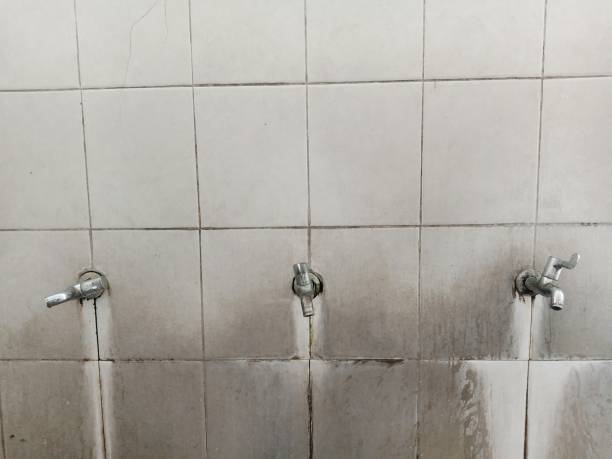 Best Water damage contractors near me  in Cloverleaf, TX