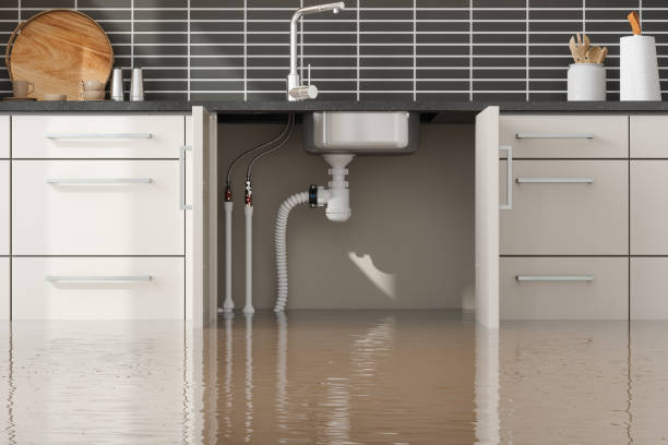 Best Flood restoration services  in Cloverleaf, TX